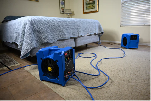 Bed Bug Treatment Video