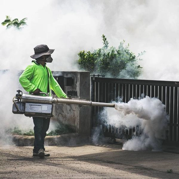 Fogging Service