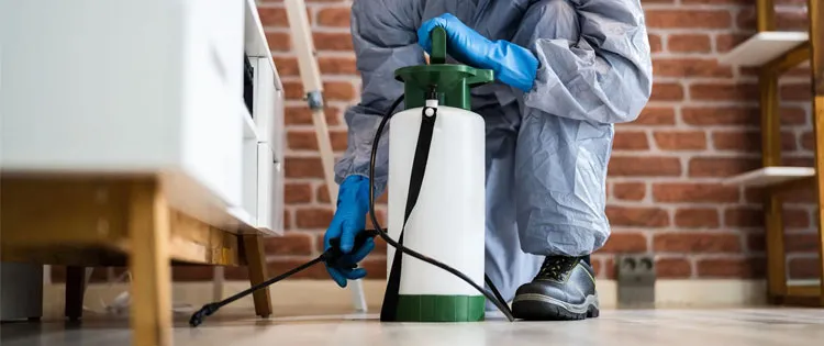Commercial Termite