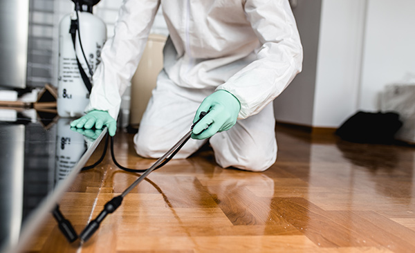 Restaurant Pest Control